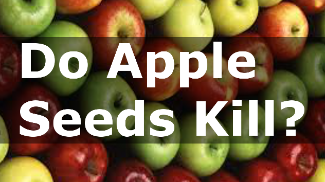 Will Apple Seeds kill my Birds?